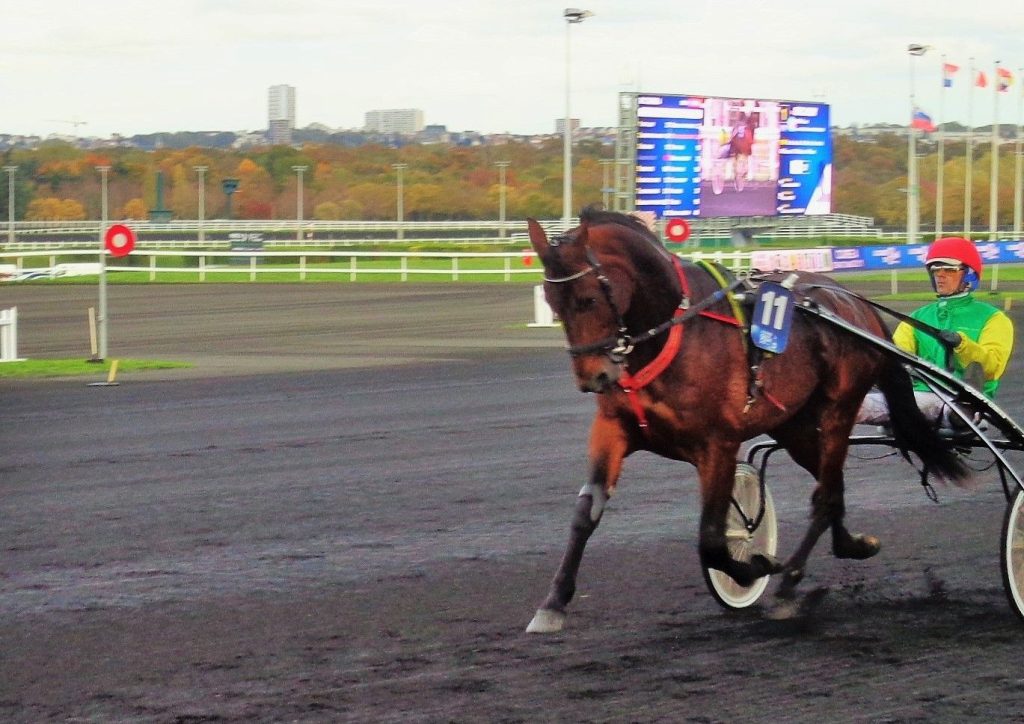 Les trotteurs se préparent pour le Prix de Bretagne: Davidson du Pont
