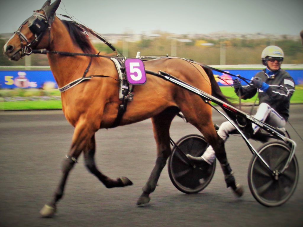 Une semaine qu'hippique : Good Friday