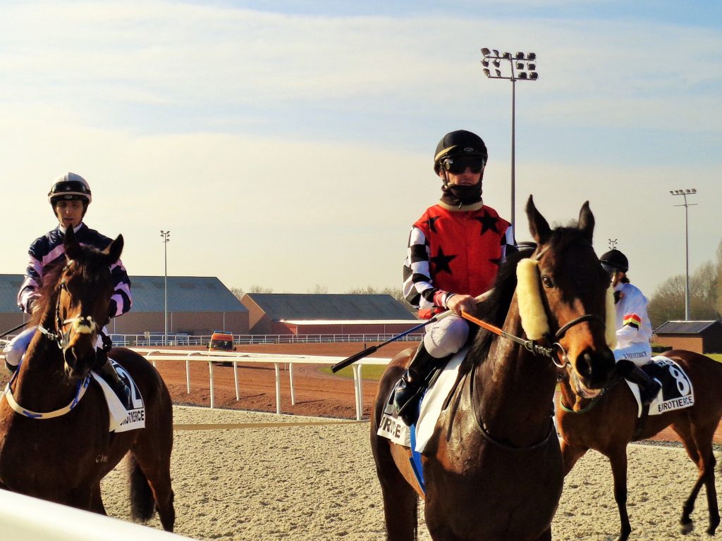 Hippodrome de Mons: direction les boîtes de départ
