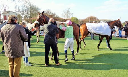 hippisme et épidémie