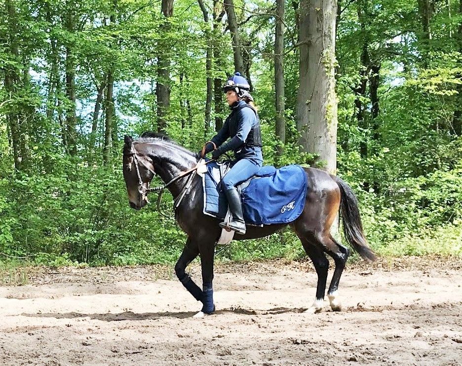 Les pistes de chantilly