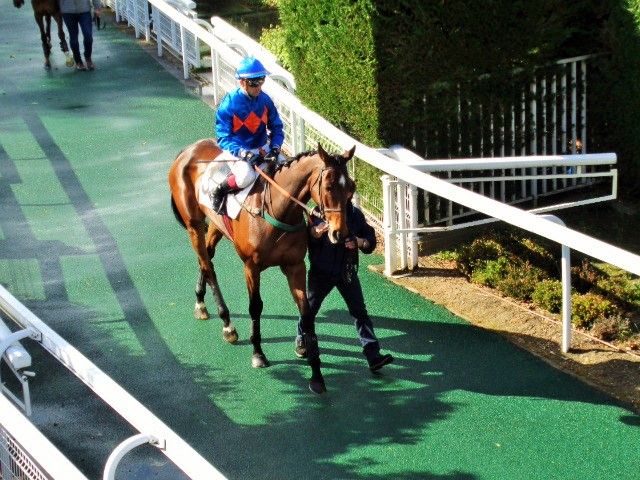 Prix Murat