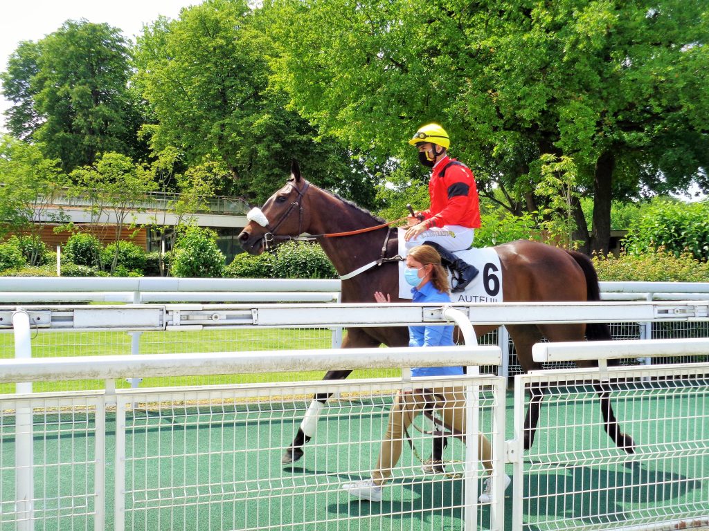 Grand steeple-chase