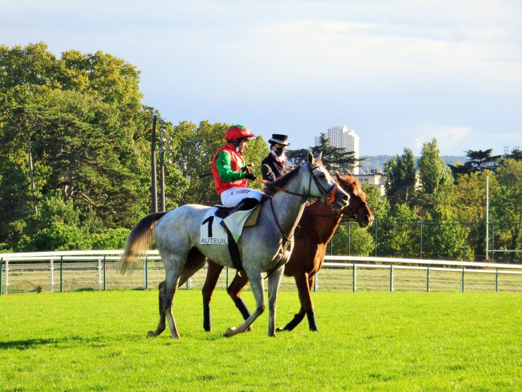 Grand steeple-chase