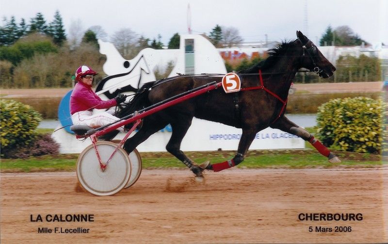 Florence Lecellier