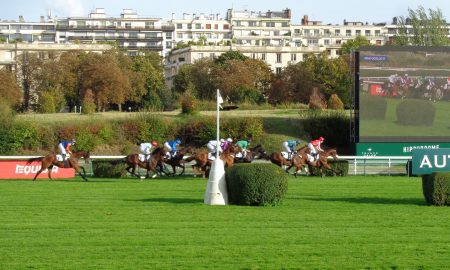 Retraite des chevaux