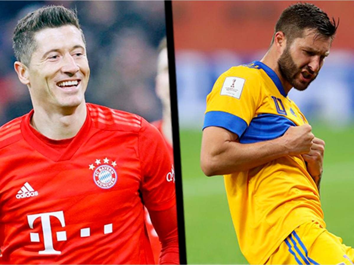 Bayern Tigres