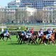 Auteuil en live