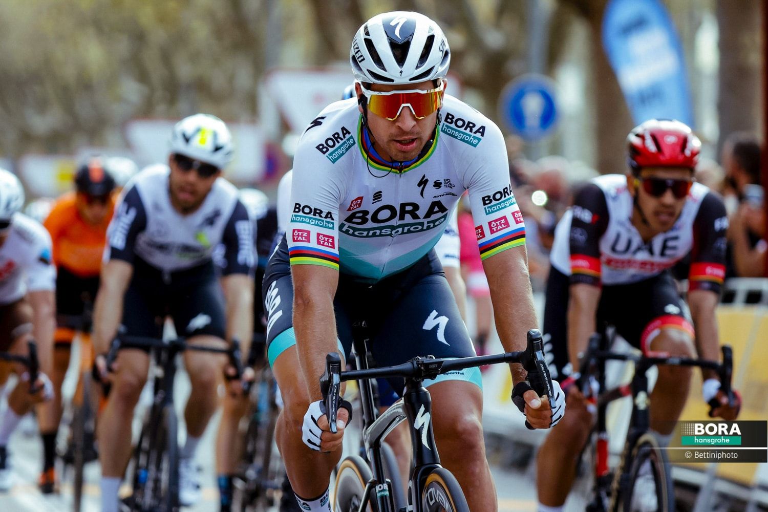 Peter Sagan