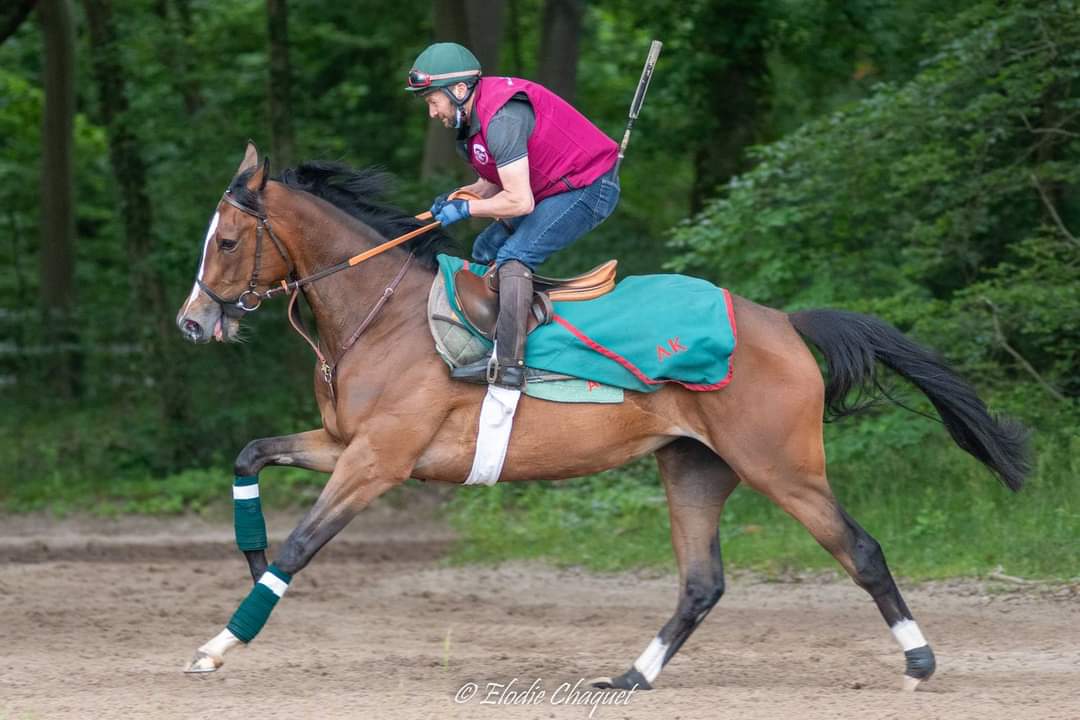 Prix de Diane 2021