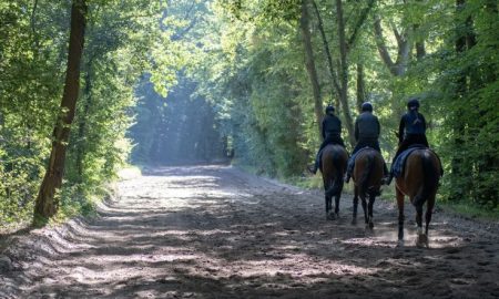 Prix de Diane 2021