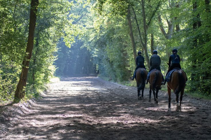Prix de Diane 2021