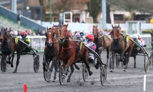 Partants quinté du jour