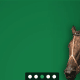 Unibet turf