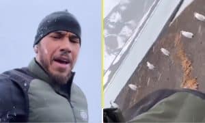 Saison 2023 de F1