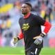 Brice Samba devrait être remplacé par Jean-Louis Leca dans les buts de Lens ce samedi à Auxerre (iconsport)