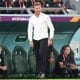 hervé renard