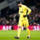 Hugo Lloris