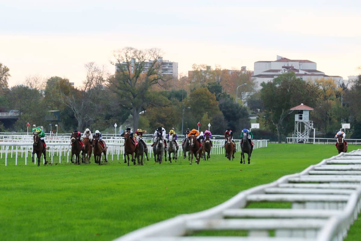 ZEturf Horse racing Bets amp Tips