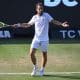 pronostic wimbledon gasquet moutet
