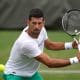 djokovic wimbledon