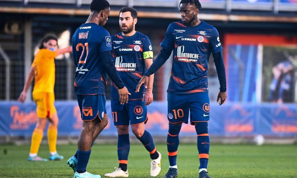 Stephy Mavididi et Elye Wahi en partance pour l'Angleterre, le MHSC pourrait miser sur Akor Adams durant ce mercato d'été (iconsport)