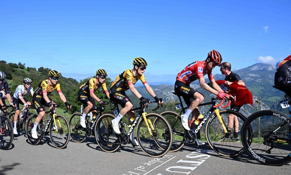 roglic