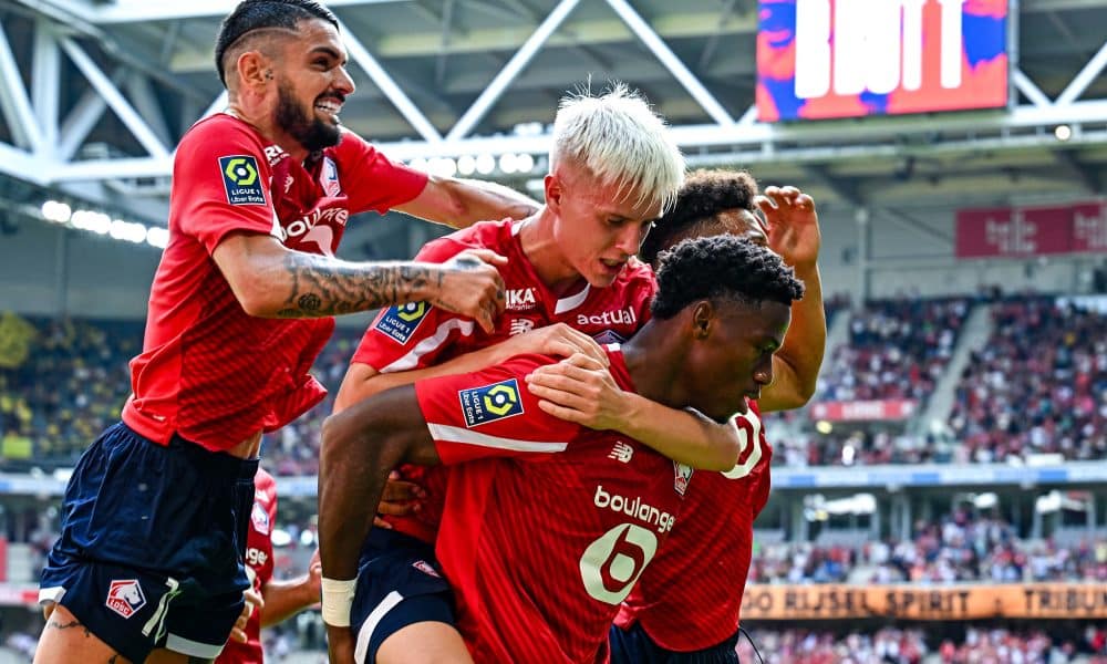 losc david