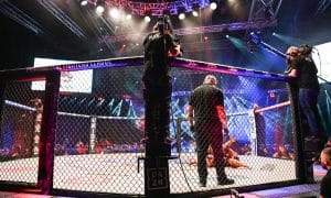 mma ufc